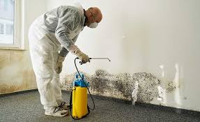 Biohazard Mold Removal in Memphis, TX