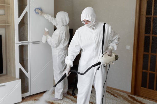 Mold Remediation for Rental Properties in Memphis, TX